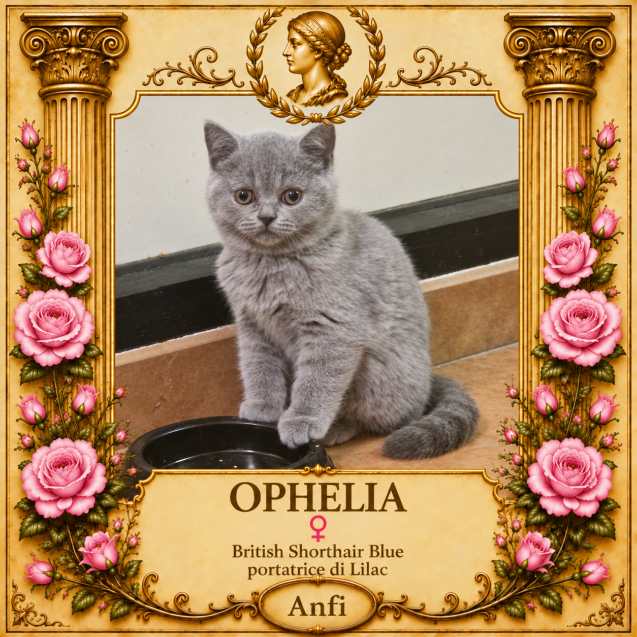 Ophelia dell’Impero Romano – scheda aggiornata