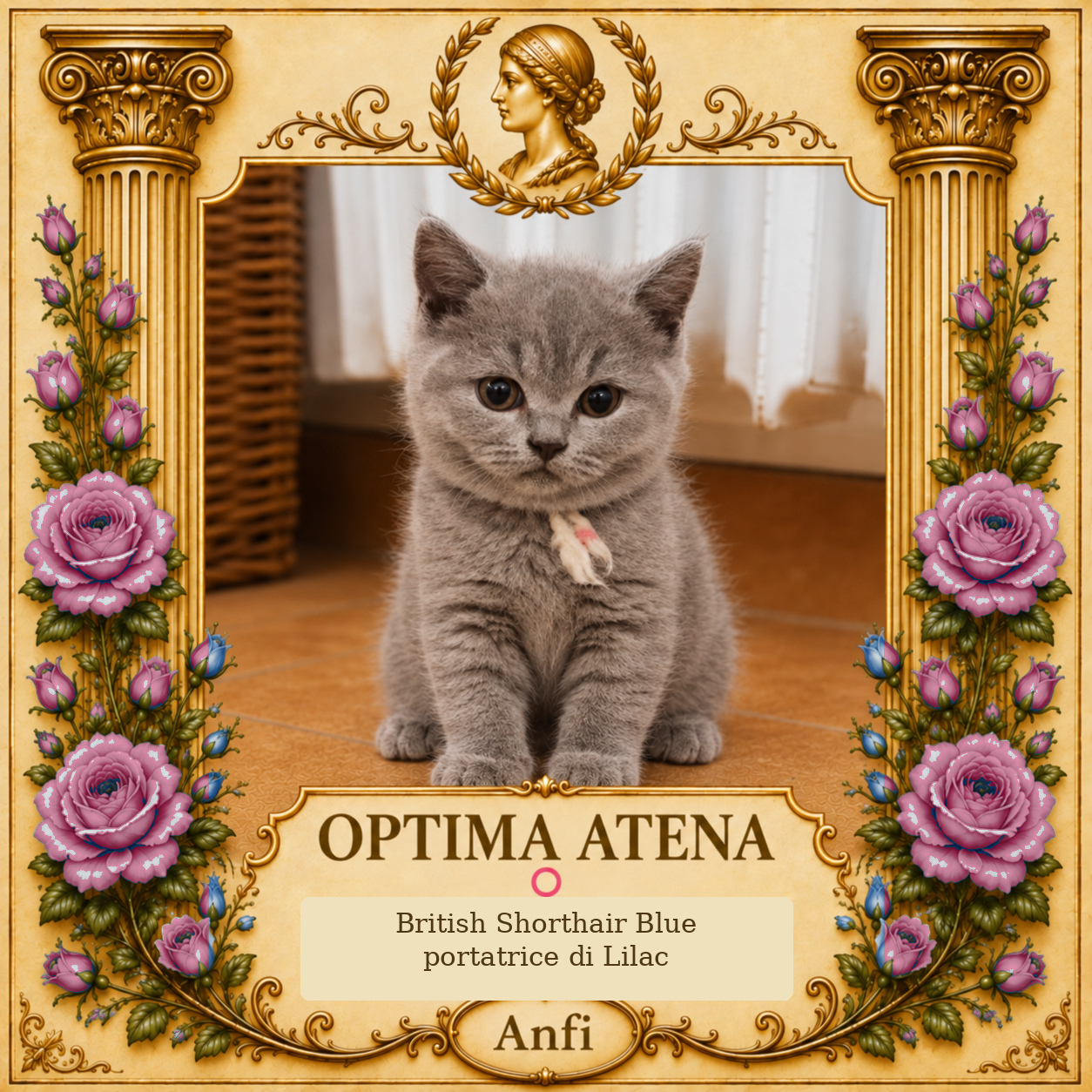 Optima Atena dell’Impero Romano – scheda aggiornata